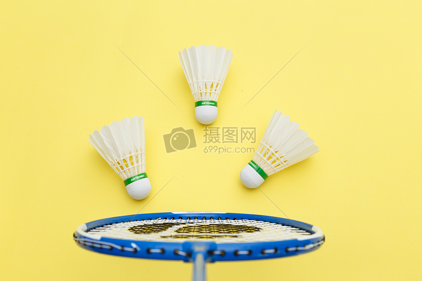 面对明尼苏 面对明尼苏